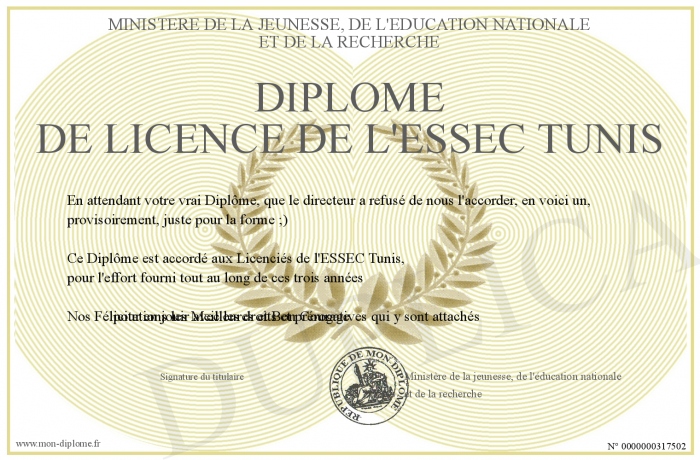 diplome essec